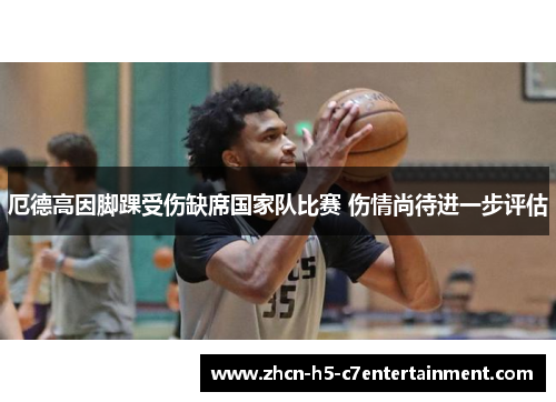 厄德高因脚踝受伤缺席国家队比赛 伤情尚待进一步评估