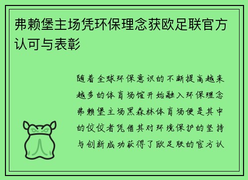 弗赖堡主场凭环保理念获欧足联官方认可与表彰
